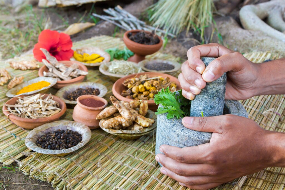Herbal Nutrition Benefits